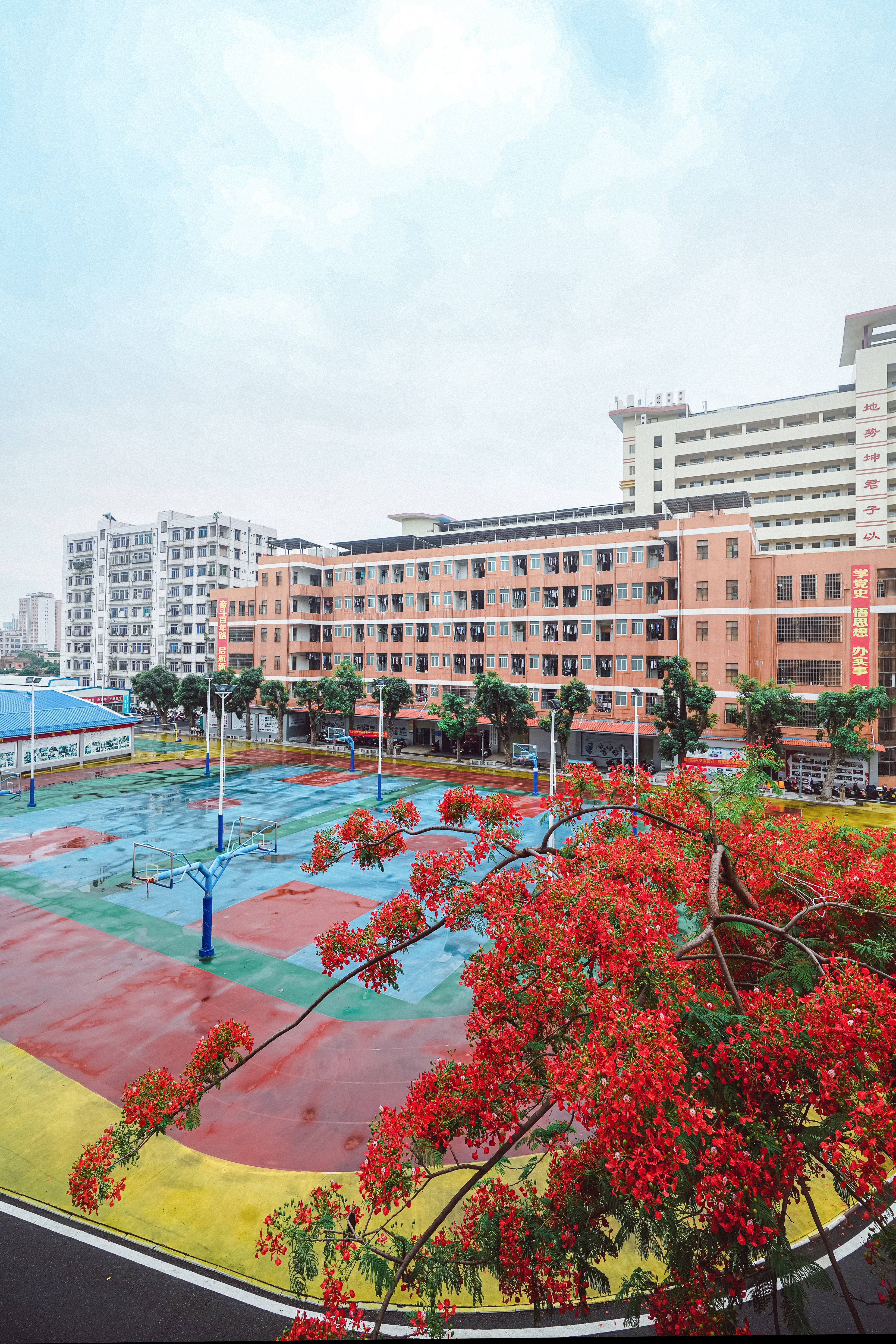校园景色2.jpg